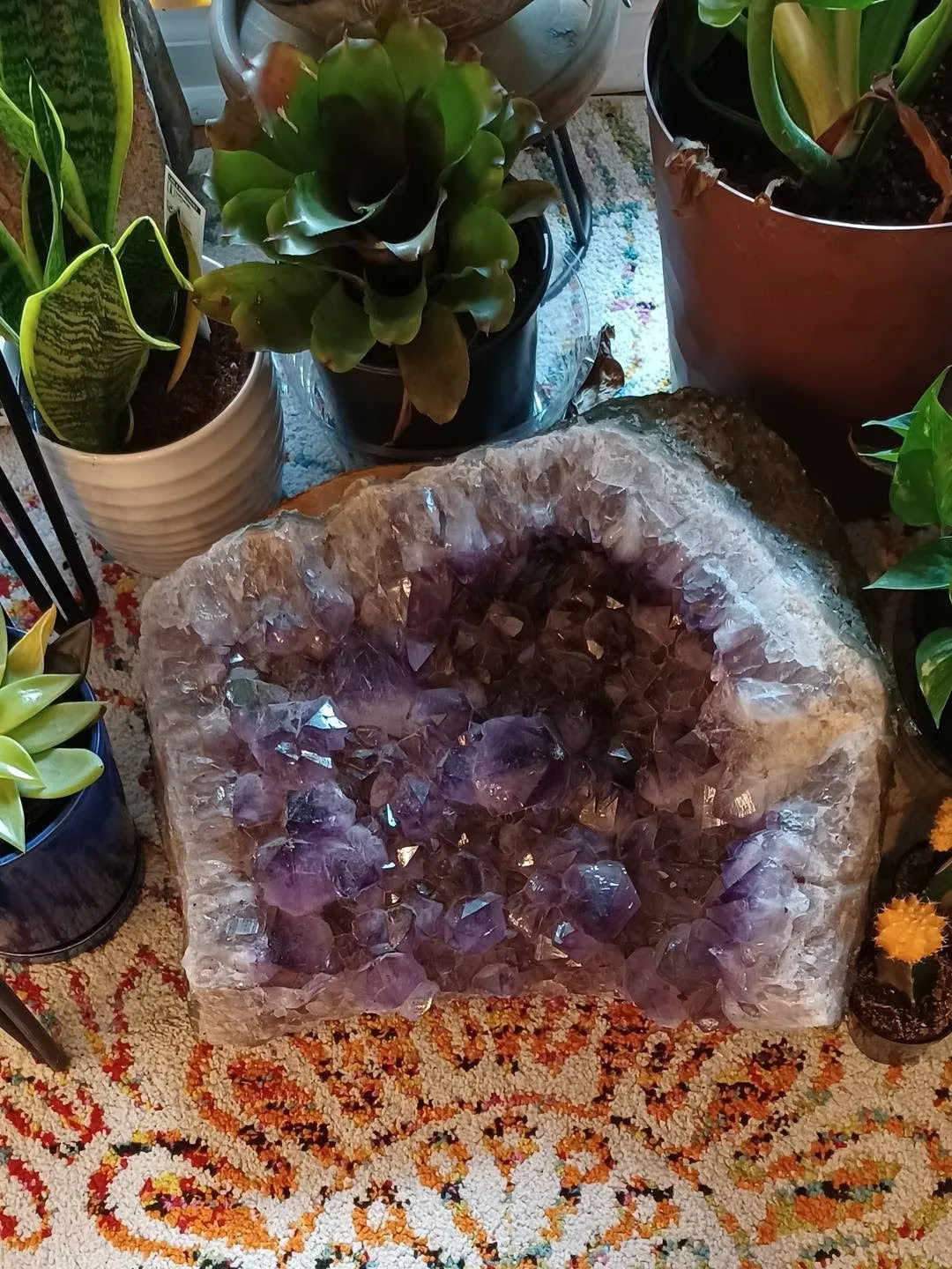 A large amethyst geode resting among leafy potted plants in a warm room