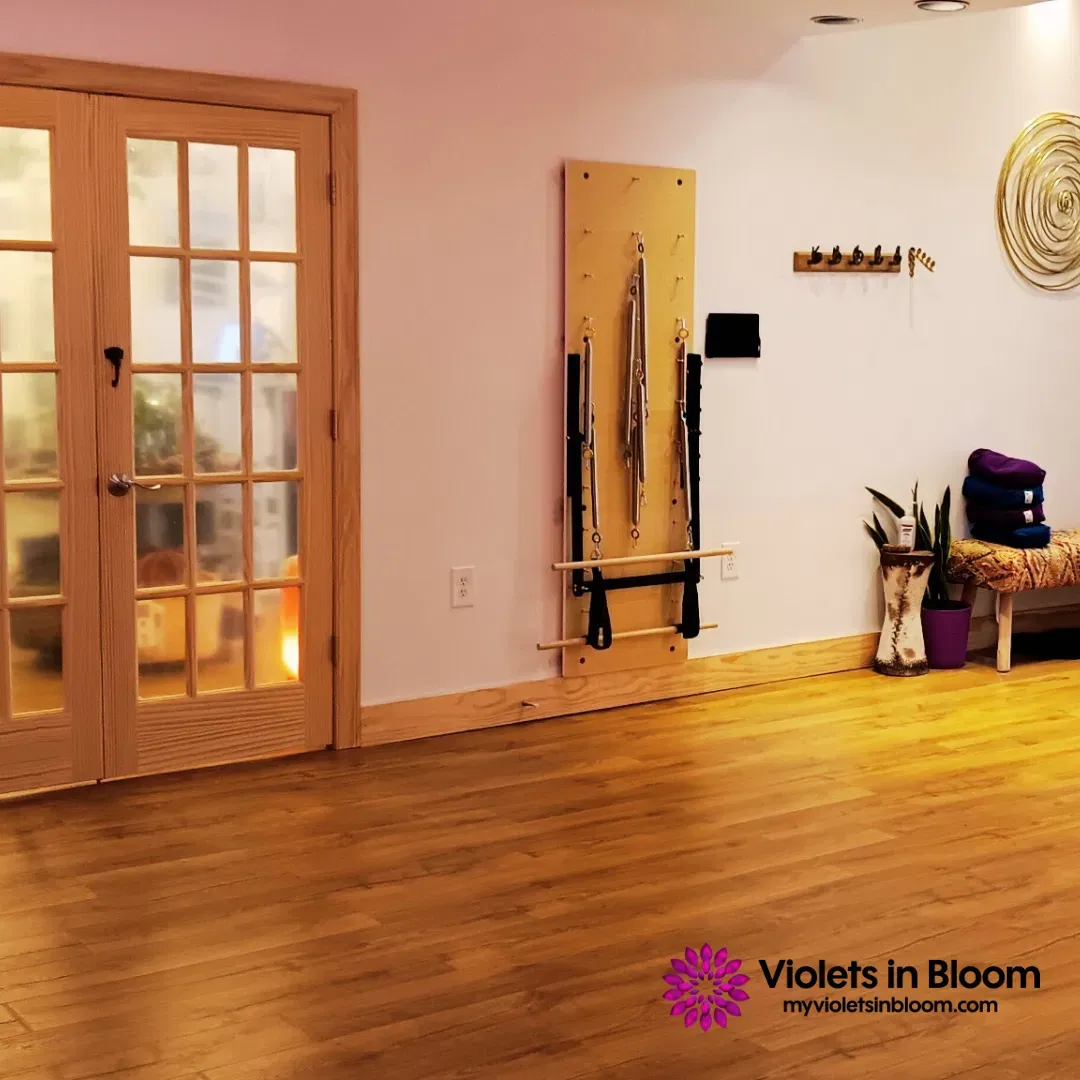 Pilates springboard in the Violets in Bloom studio